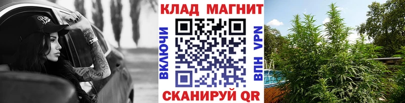 Купить закладку Cocaine  Бошки Шишки  Меф  NBOMe  Гашиш  А ПВП  Рошаль