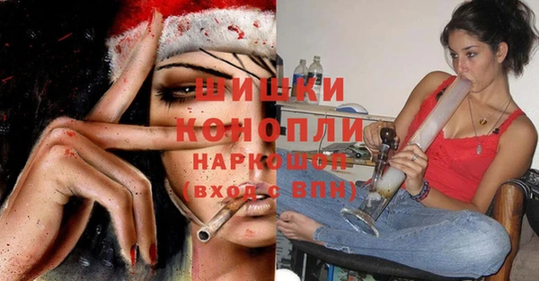 прущие грибы Балабаново