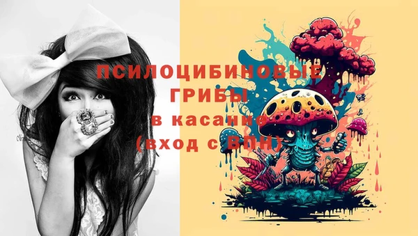 прущая мука Арсеньев