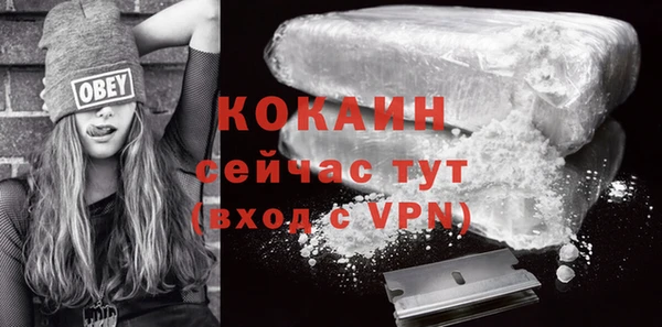 прущие грибы Баксан