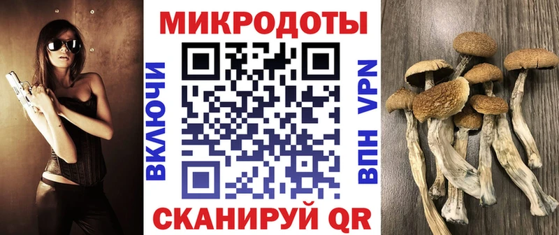 Галлюциногенные грибы мухоморы  Купить закладки  Рошаль 