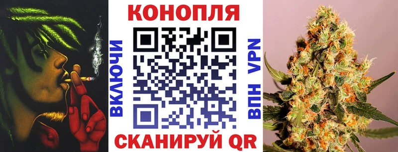 Купить закладки  Рошаль  Бошки Шишки тримм 